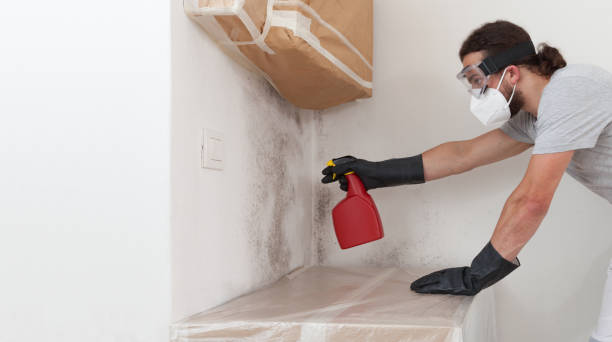 Professional Attic Mold Remediation technician working in Woodbury, PA