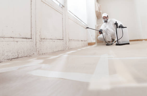 24/7 Emergency Attic Mold Remediation experts in Woodbury, PA