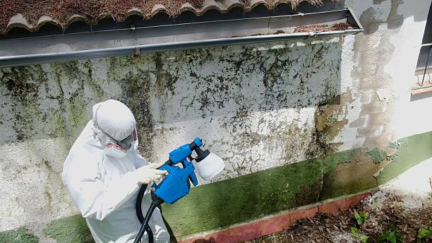 Top rated local Attic Mold Remediation specialists in Woodbury, PA